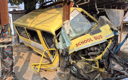 ई एस एल कर्मी को धक्का मारकर भाग रहा स्कूल वैन बिजली पोल से टकराया, चालक व कर्मी का ईलाज जारी