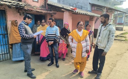 मैपिंग का काम में तेजी लाने का निर्देश:सीओ